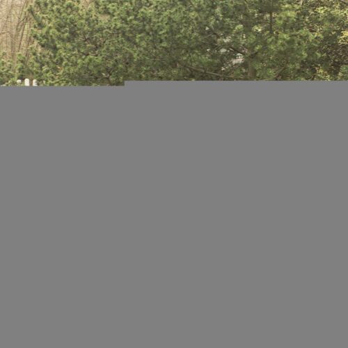 Onze rvs antiparkeerpalen kenmerken zich door een ongekende kwaliteits- prijsverhouding!